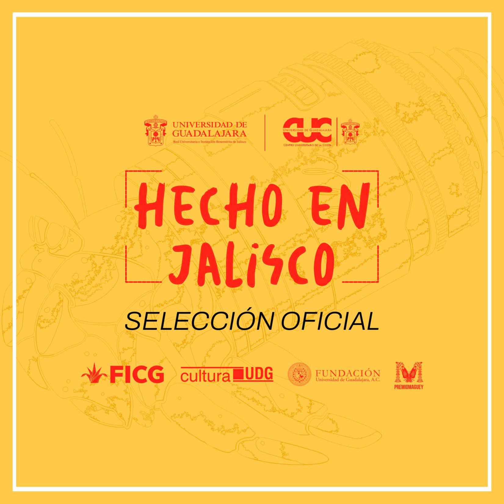 Programa FICPV03