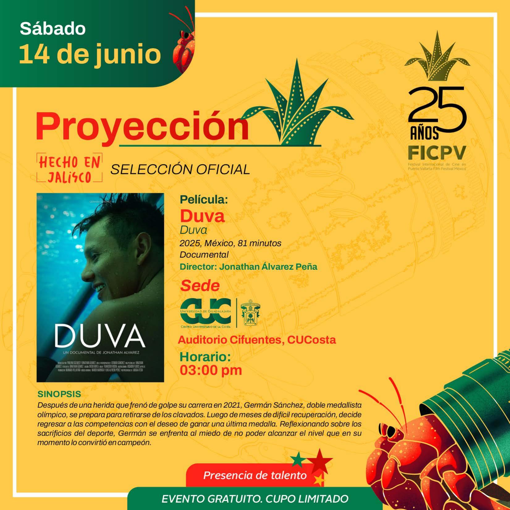 Programa FICPV06